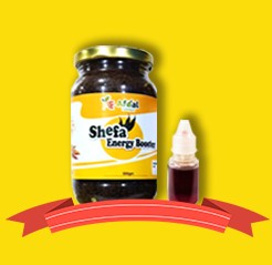 ১৫ দিনের কোর্স